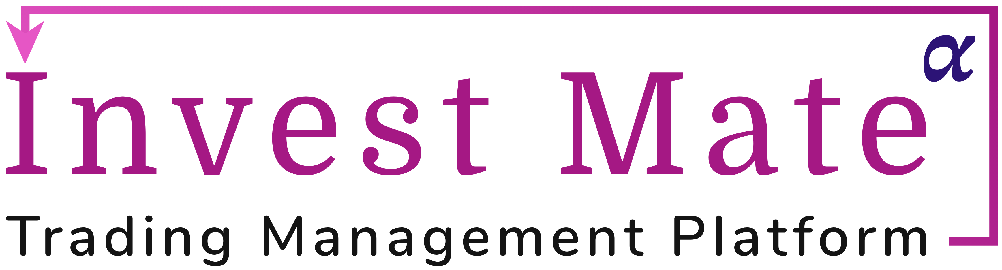 Invest-Mate.Net Logo